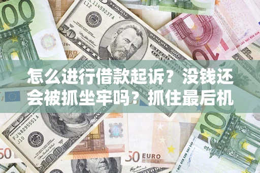 武汉怎么进行借款起诉？没钱还会被抓坐牢吗？抓住最后机会！