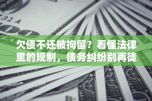 武汉欠债不还被拘留？看懂法律里的规制，债务纠纷别再徒劳奔波