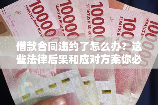 武汉借款合同违约了怎么办？这些法律后果和应对方案你必须知道