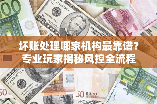 武汉坏账处理哪家机构最靠谱？专业玩家揭秘风控全流程