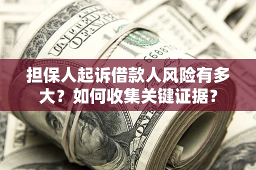 武汉担保人起诉借款人风险有多大？如何收集关键证据？