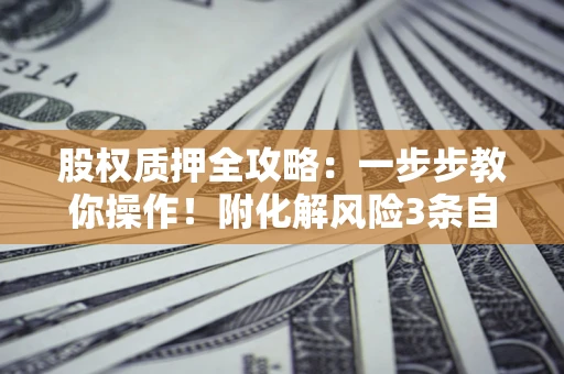 武汉股权质押全攻略：一步步教你操作！附化解风险3条自救法则