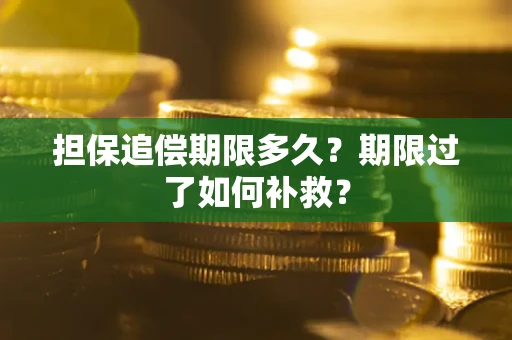武汉担保追偿期限多久？期限过了如何补救？