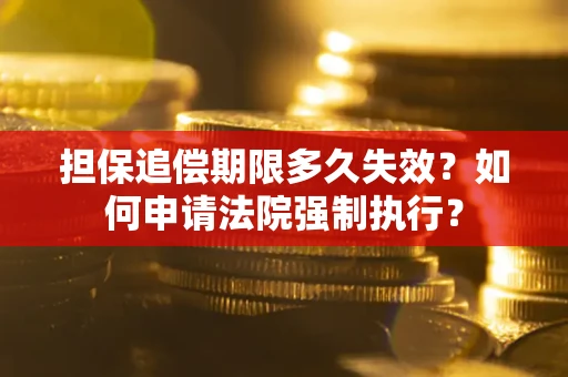 武汉担保追偿期限多久失效？如何申请法院强制执行？