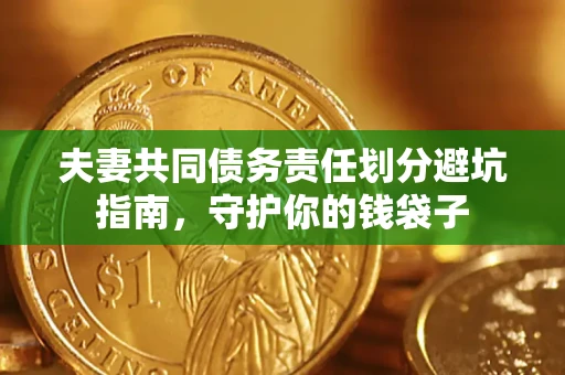 武汉夫妻共同债务责任划分避坑指南，守护你的钱袋子