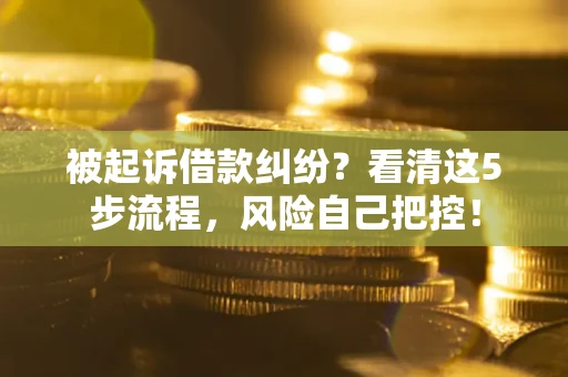 武汉被起诉借款纠纷？看清这5步流程，风险自己把控！